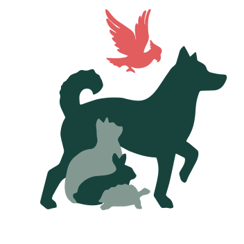 Veterinärgruppen Växjö